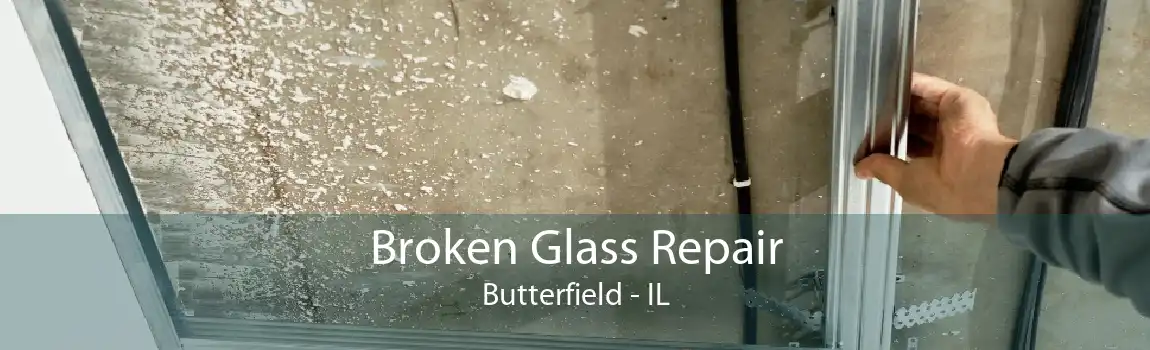 Broken Glass Repair Butterfield - IL