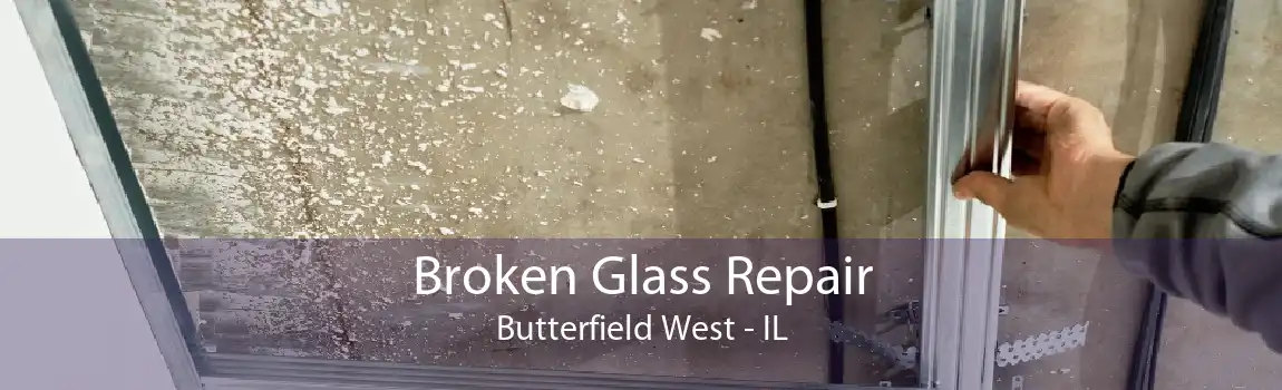 Broken Glass Repair Butterfield West - IL