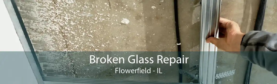 Broken Glass Repair Flowerfield - IL