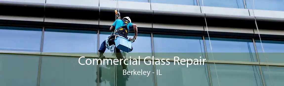 Commercial Glass Repair Berkeley - IL