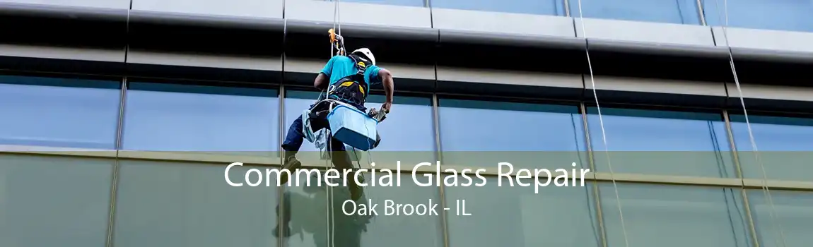 Commercial Glass Repair Oak Brook - IL