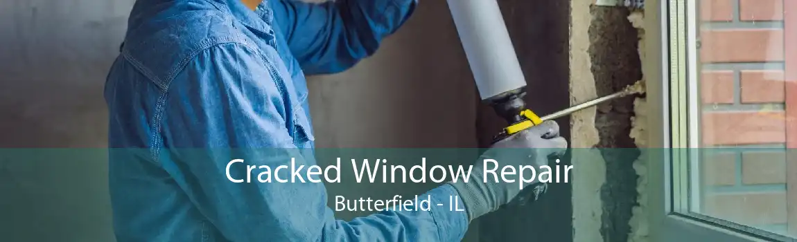 Cracked Window Repair Butterfield - IL