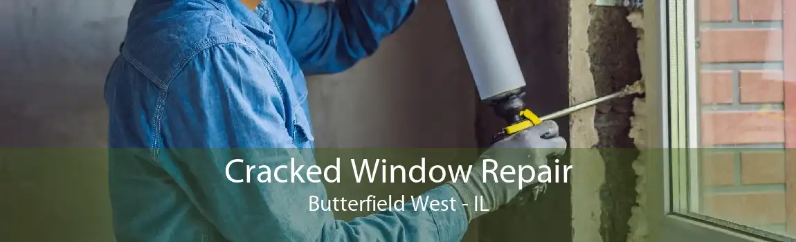 Cracked Window Repair Butterfield West - IL