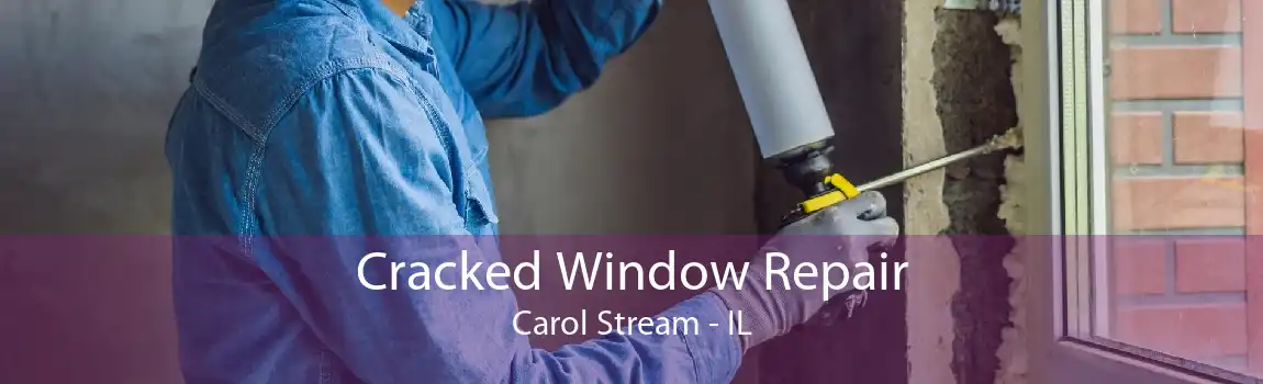 Cracked Window Repair Carol Stream - IL