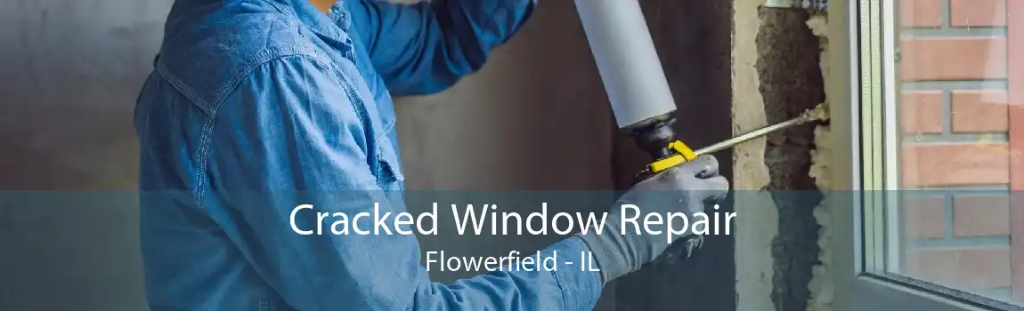 Cracked Window Repair Flowerfield - IL