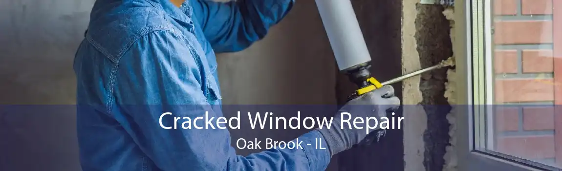 Cracked Window Repair Oak Brook - IL