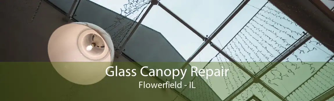 Glass Canopy Repair Flowerfield - IL