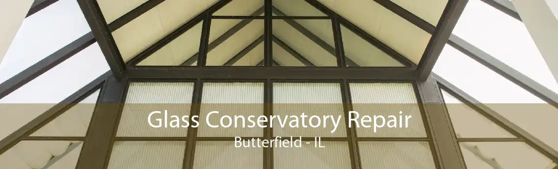 Glass Conservatory Repair Butterfield - IL