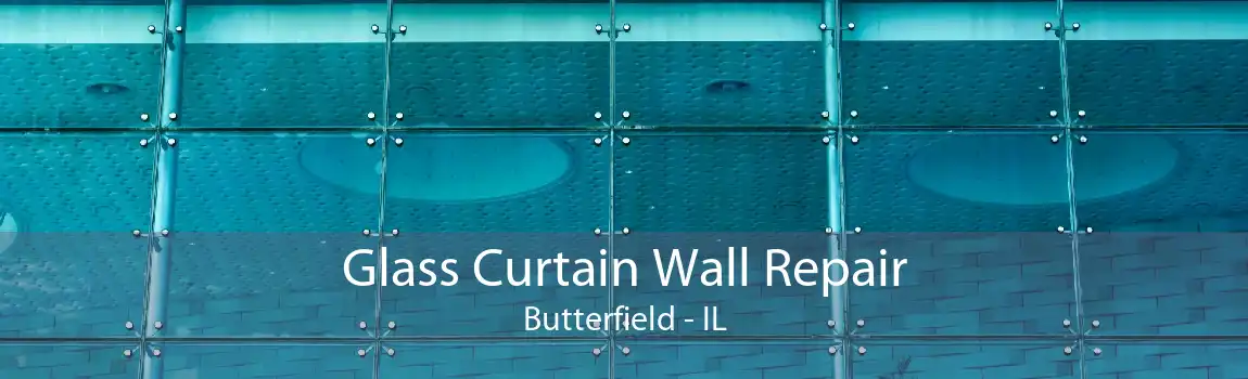 Glass Curtain Wall Repair Butterfield - IL