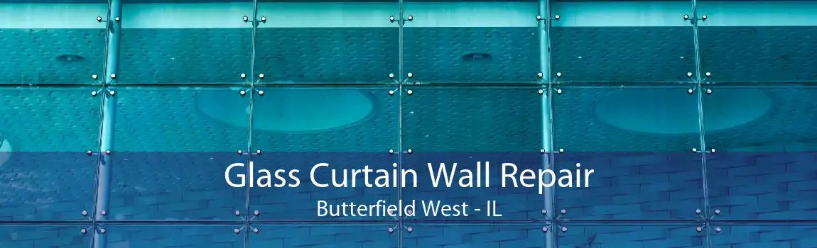 Glass Curtain Wall Repair Butterfield West - IL