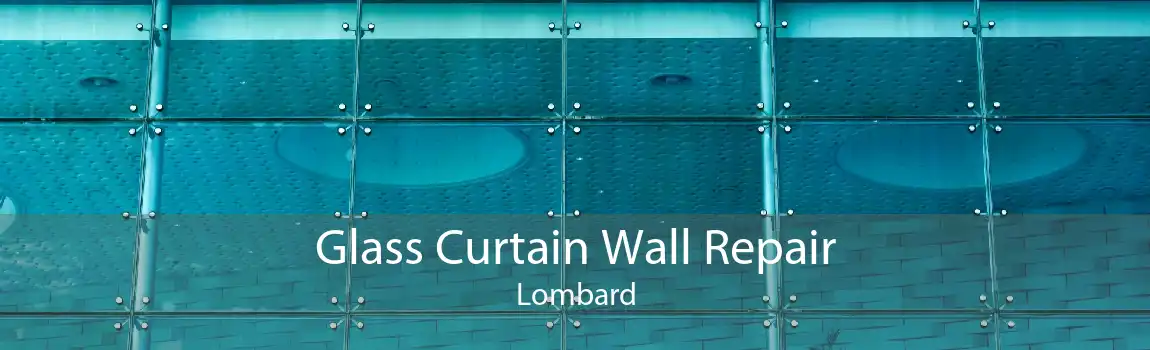 Glass Curtain Wall Repair Lombard