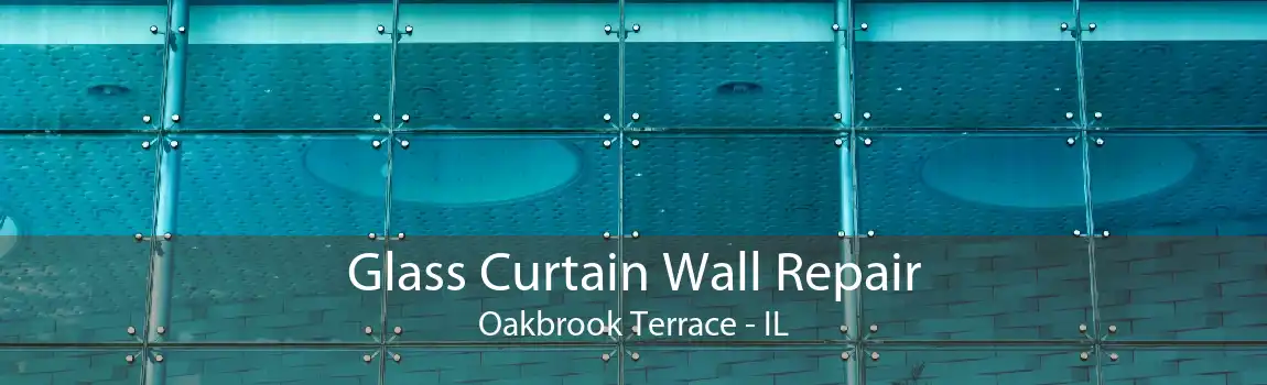 Glass Curtain Wall Repair Oakbrook Terrace - IL