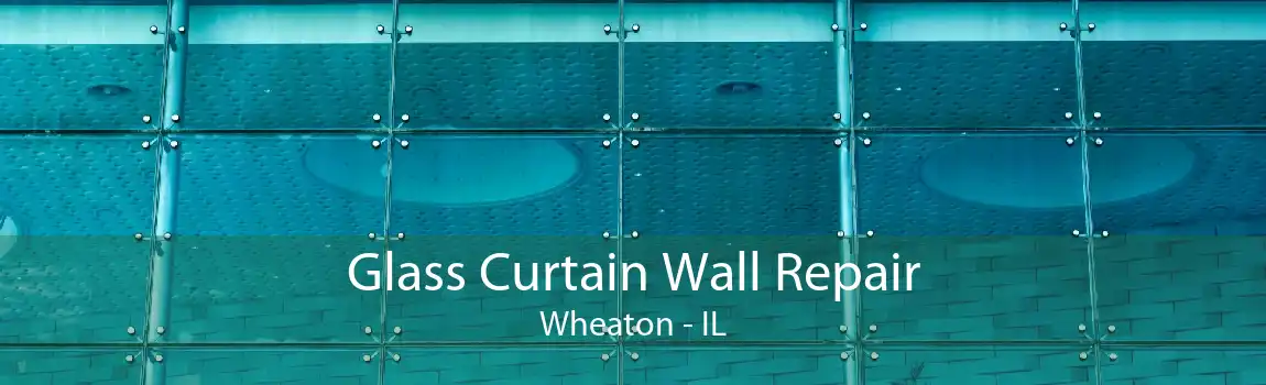 Glass Curtain Wall Repair Wheaton - IL