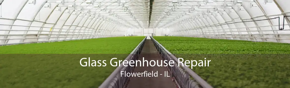 Glass Greenhouse Repair Flowerfield - IL