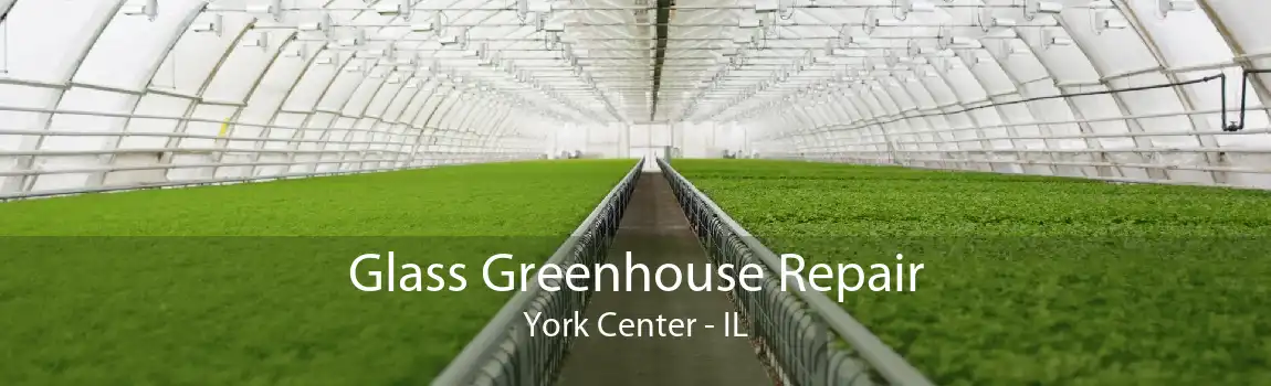 Glass Greenhouse Repair York Center - IL