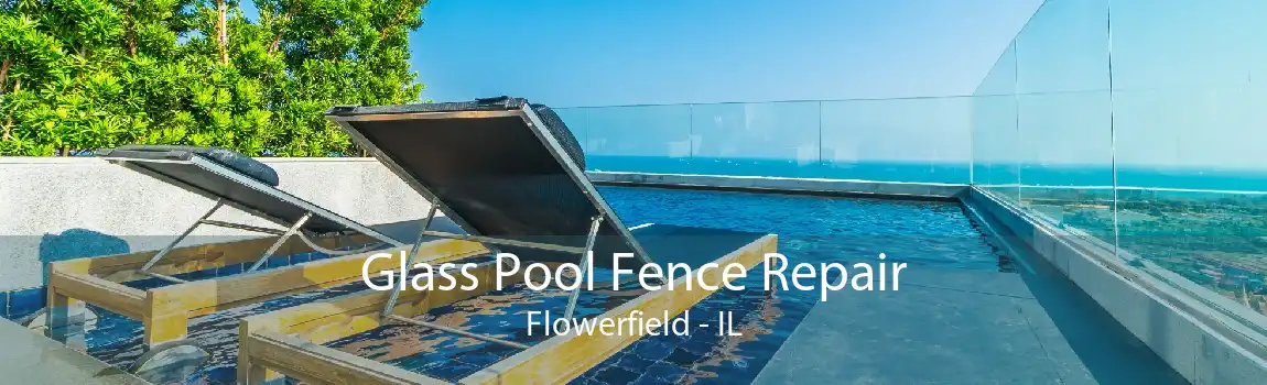 Glass Pool Fence Repair Flowerfield - IL