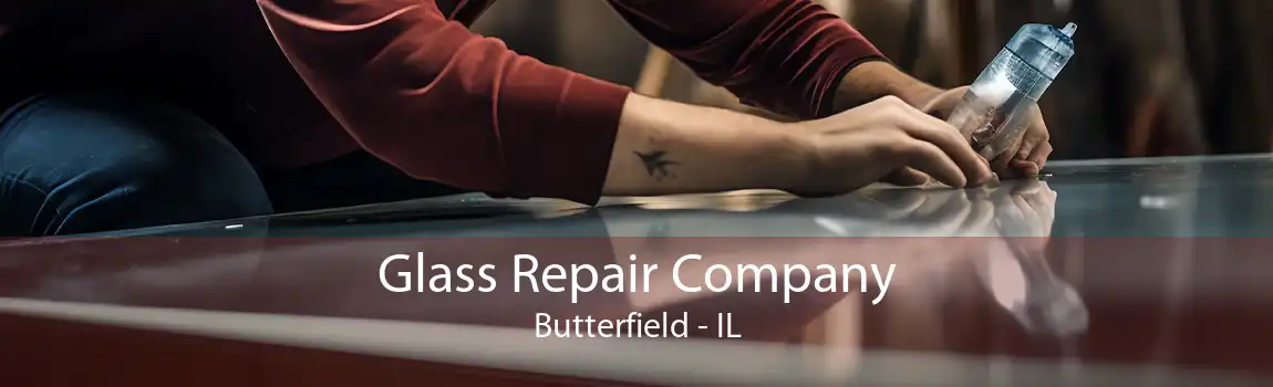 Glass Repair Company Butterfield - IL