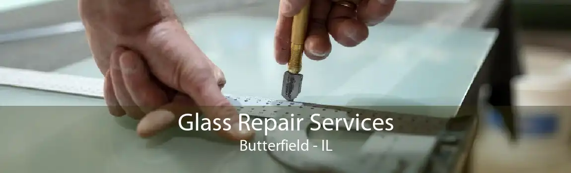 Glass Repair Services Butterfield - IL