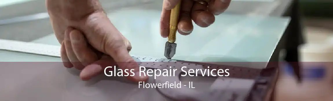 Glass Repair Services Flowerfield - IL