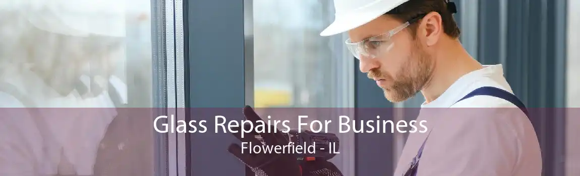 Glass Repairs For Business Flowerfield - IL