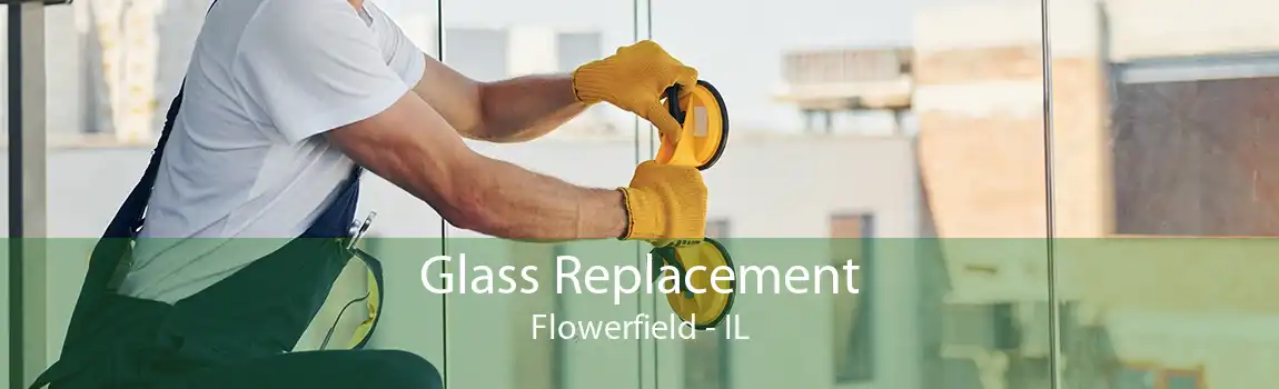 Glass Replacement Flowerfield - IL