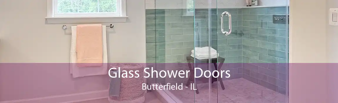 Glass Shower Doors Butterfield - IL