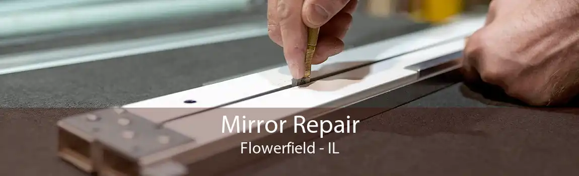 Mirror Repair Flowerfield - IL