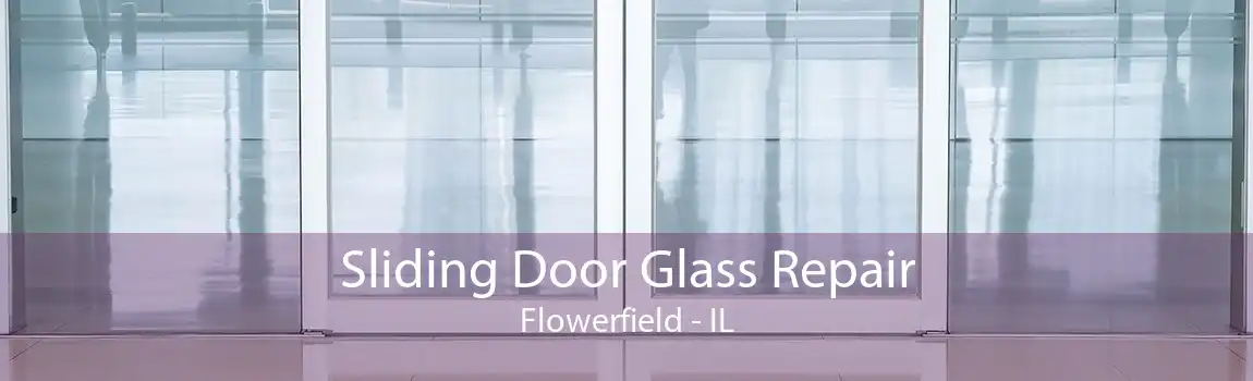 Sliding Door Glass Repair Flowerfield - IL