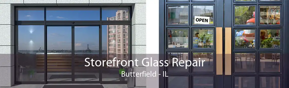 Storefront Glass Repair Butterfield - IL