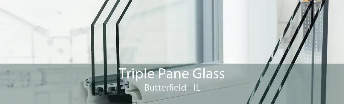 Triple Pane Glass Butterfield - IL