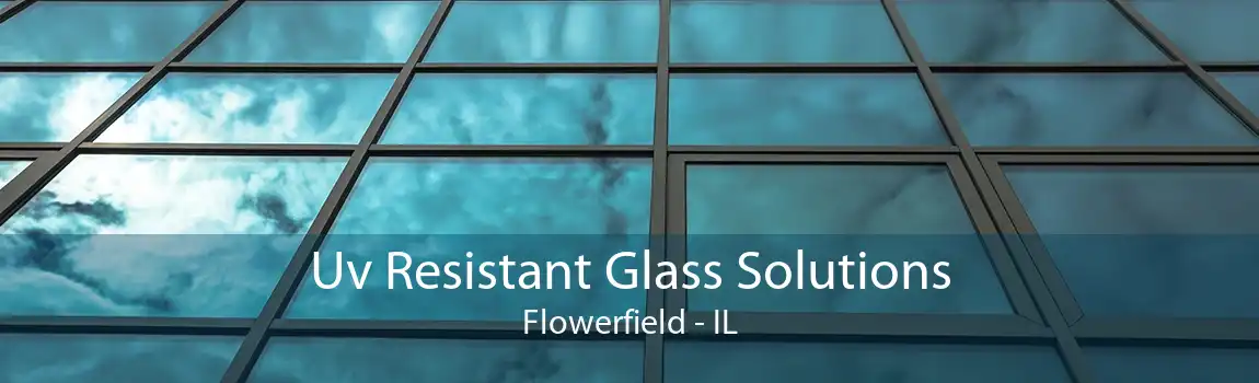 Uv Resistant Glass Solutions Flowerfield - IL