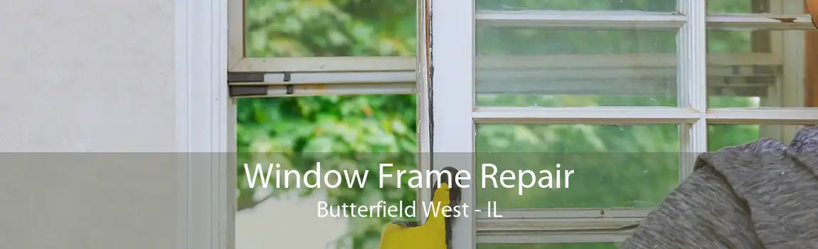 Window Frame Repair Butterfield West - IL