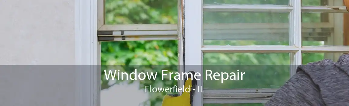 Window Frame Repair Flowerfield - IL