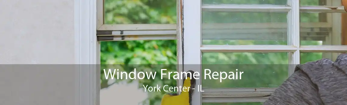 Window Frame Repair York Center - IL