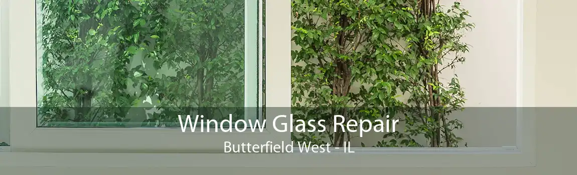 Window Glass Repair Butterfield West - IL