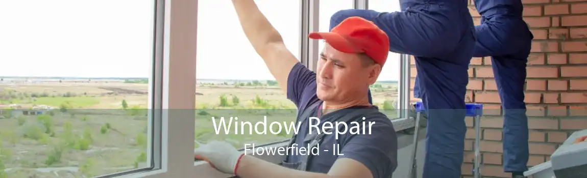 Window Repair Flowerfield - IL