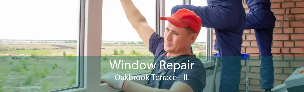 Window Repair Oakbrook Terrace - IL