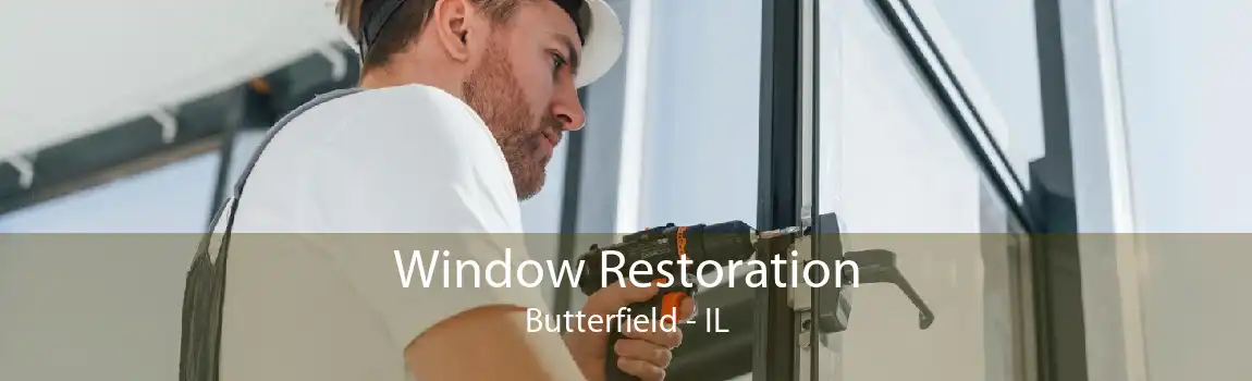 Window Restoration Butterfield - IL