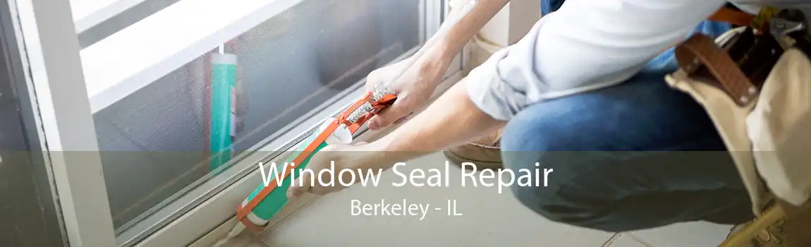 Window Seal Repair Berkeley - IL