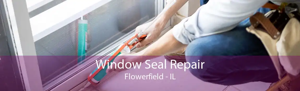 Window Seal Repair Flowerfield - IL