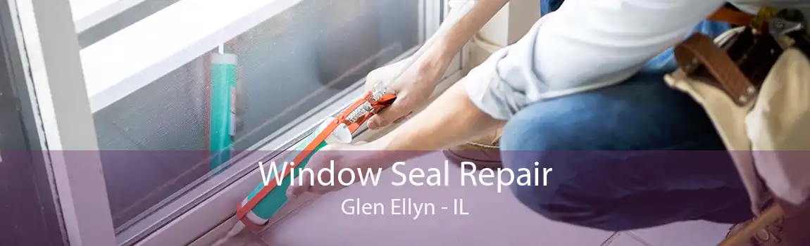 Window Seal Repair Glen Ellyn - IL