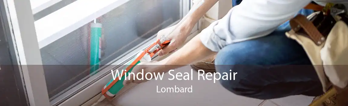 Window Seal Repair Lombard